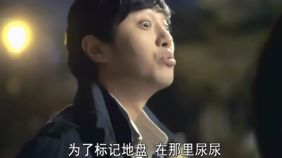 森林的奇迹
